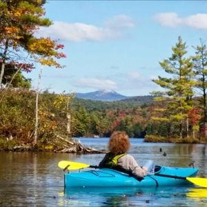 Meet your Posher, Donna